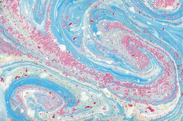 Marbling 'blue and white and red galaxy' by Marija Smits and family