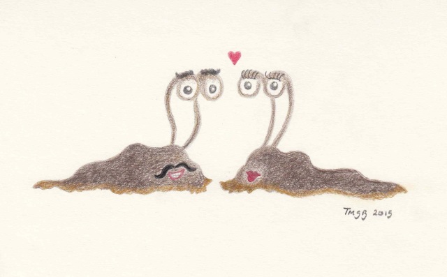 Slugs in love, by Marija Smits